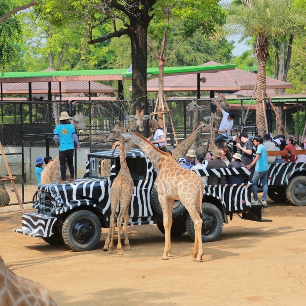 大城府動物園.jpg